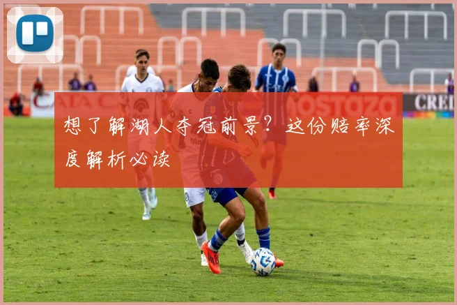 想了解湖人夺冠前景？这份赔率深度解析必读