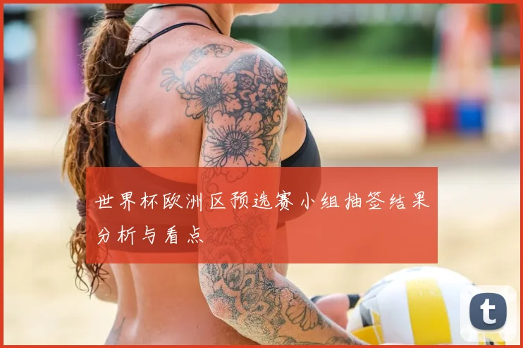 世界杯欧洲区预选赛小组抽签结果分析与看点